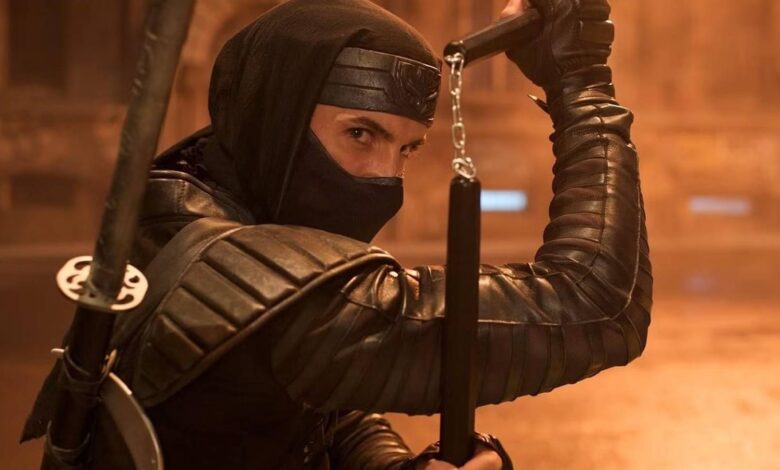 Esses filmes pouco conhecidos de artes marciais apresentam uma lenda da ação no papel principal