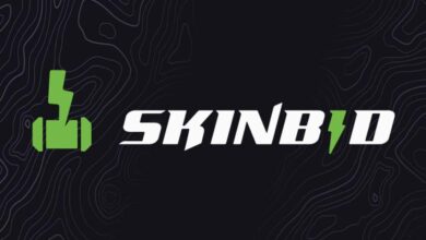 Imagem do logotipo SkinBid em um fundo escuro com linhas cinza