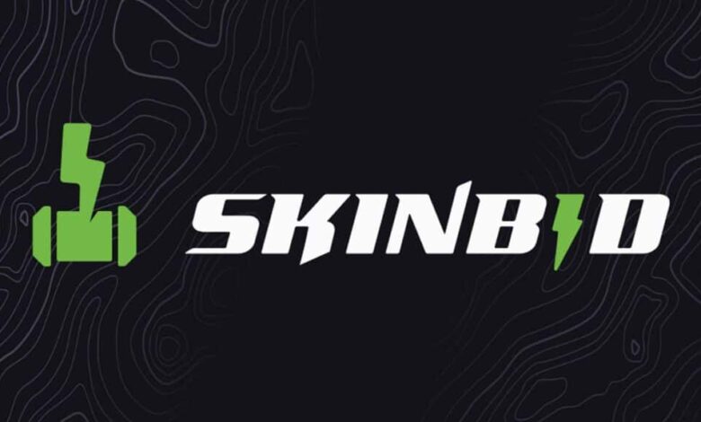 Imagem do logotipo SkinBid em um fundo escuro com linhas cinza