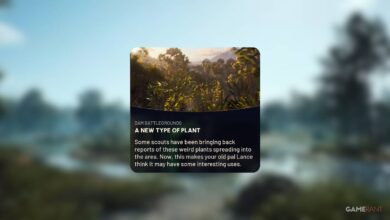 Onde encontrar planta perto de Baron Husk (um novo tipo de planta) em Arc Raiders