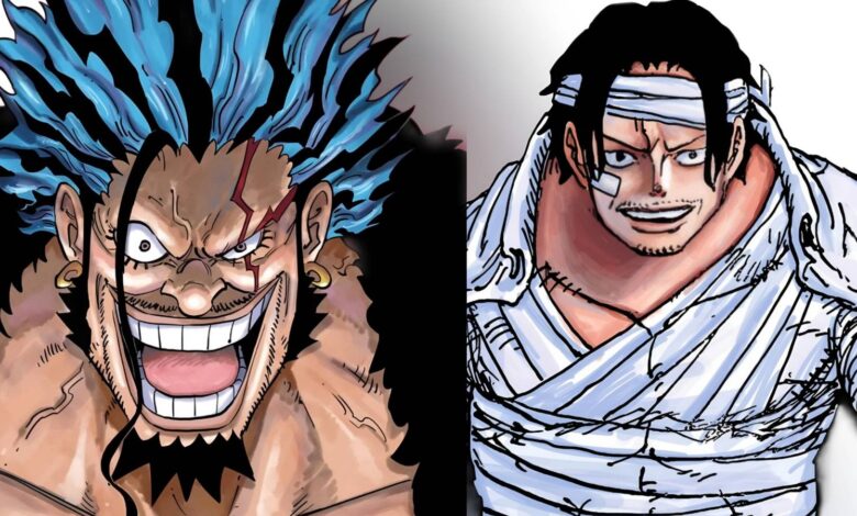 One Piece Capítulo 1166 Coisas importantes que você perdeu