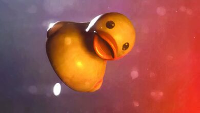 Os jogadores do ARC Raiders estão enchendo seus quartos com patos