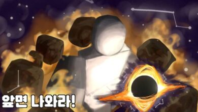 Roblox: Cara, por favor, códigos