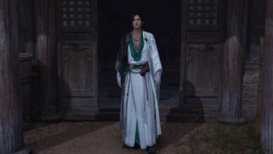 Todas as curas da Floresta do Véu Nebuloso (Marga Efêmera)