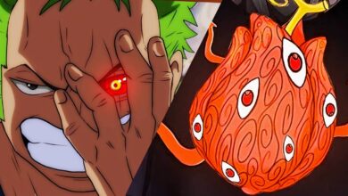 5 futuros usuários de Akuma no Mi com chapéu de palha inteiros