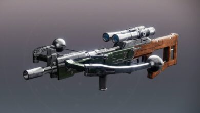 Como obter a herança e o catalisador em Destiny 2