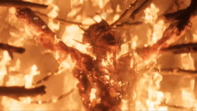 O próximo jogo de Larian é Divinity e será ainda maior que Baldur's Gate 3