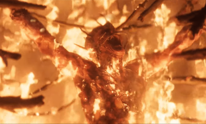 O próximo jogo de Larian é Divinity e será ainda maior que Baldur's Gate 3