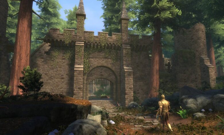 Skyblivion compartilha uma nova atualização, mas provavelmente decepcionará os fãs