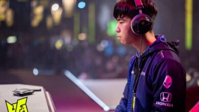 Sobrinho morre em 2024